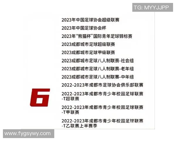 成都足球队进攻表现分析及其对比赛结果的影响探讨