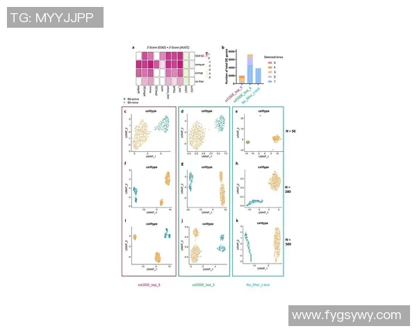 广州排球队团队协作表现的数据分析与提升策略探讨 广州排球队团队协作表现的数据分析与提升策略探讨