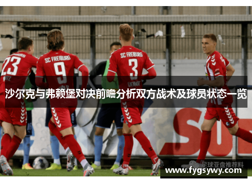 沙尔克与弗赖堡对决前瞻分析双方战术及球员状态一览
